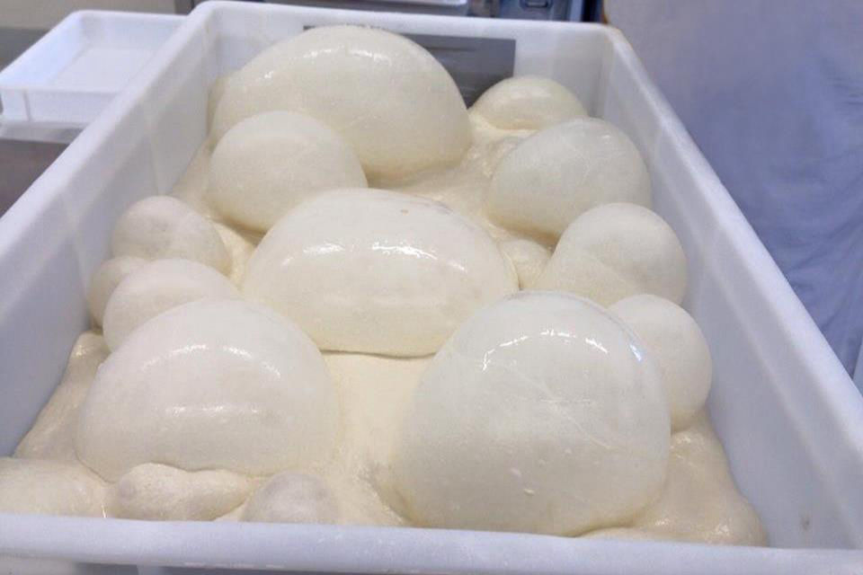 Mélange de farines pour la pâte à pinsa